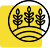icon 01